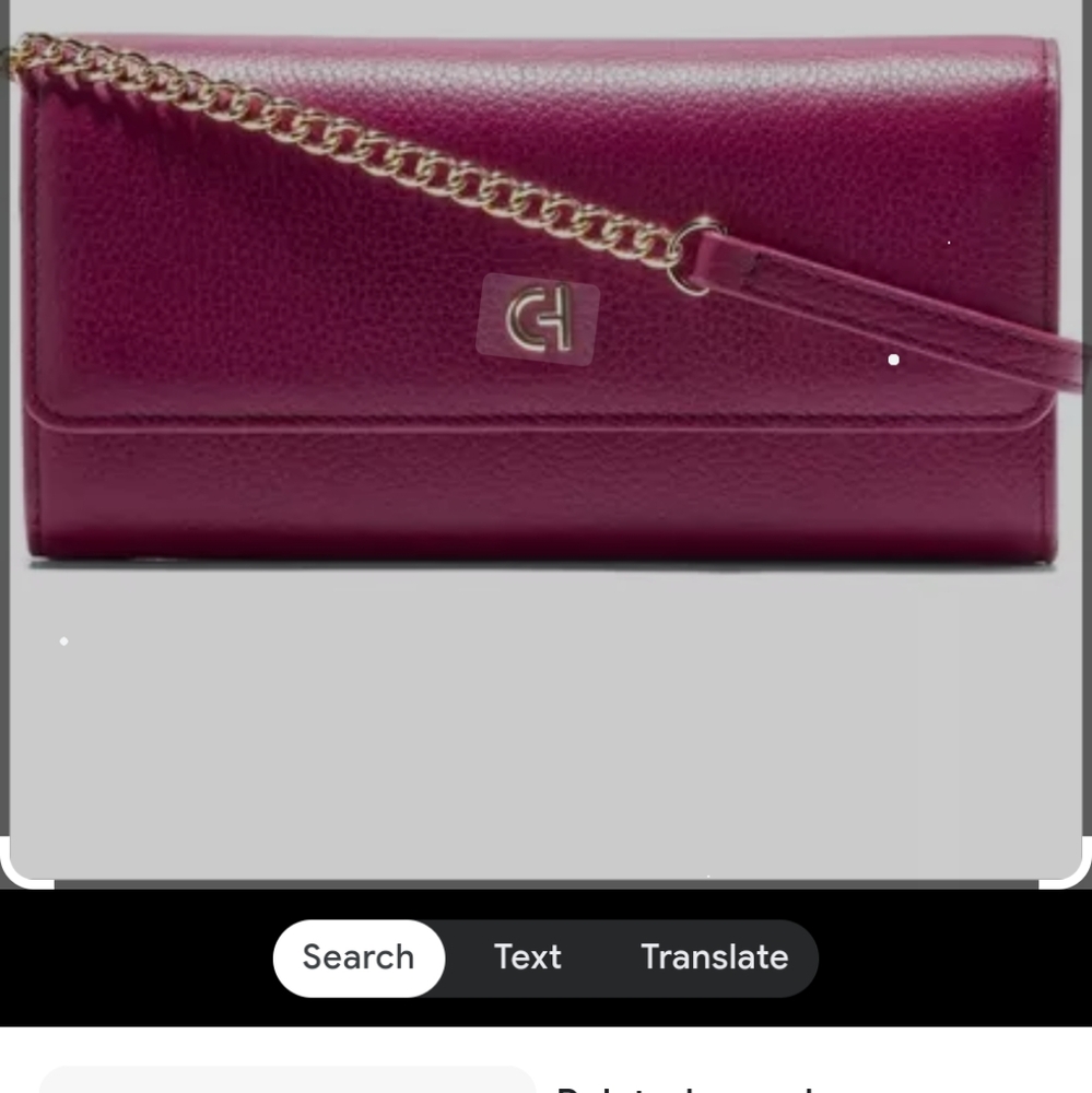 Cole haan wallet on a chain purple potion